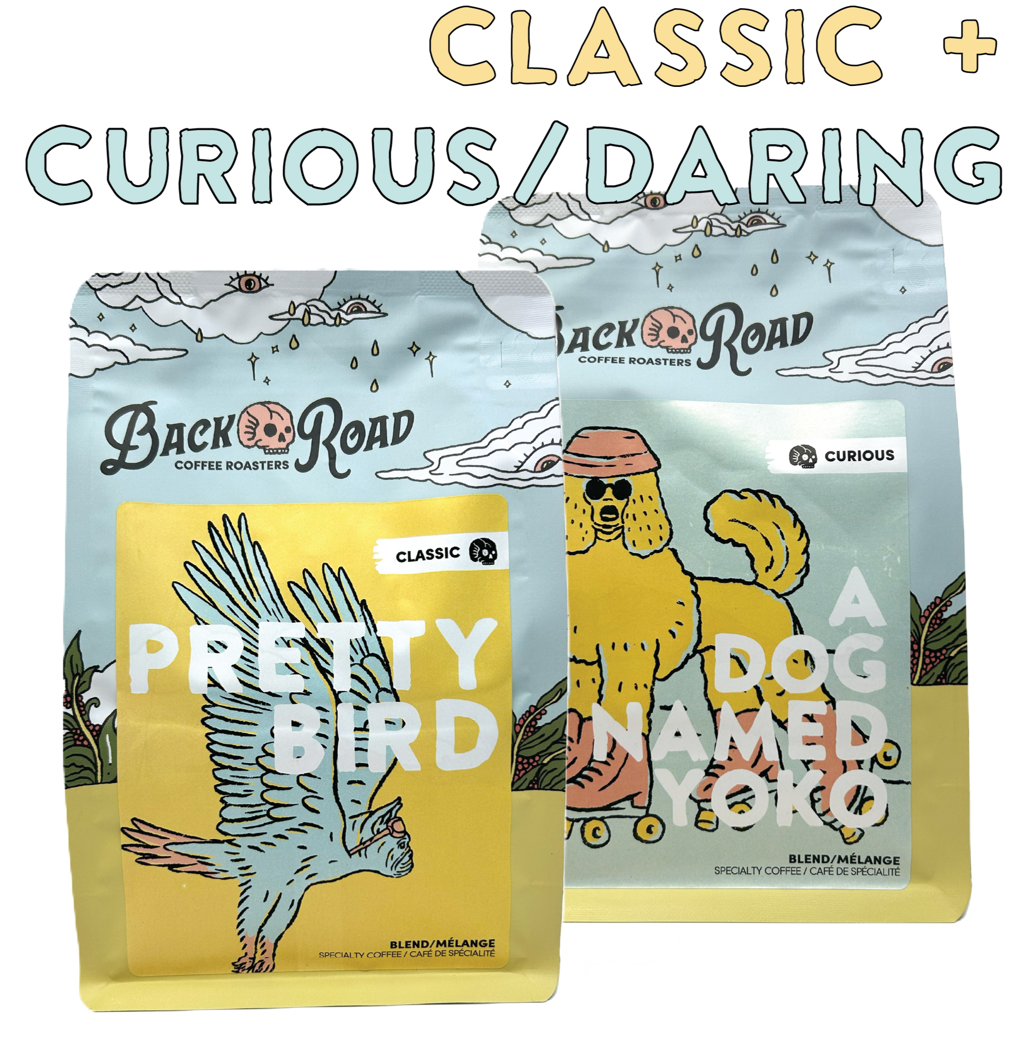 CLASSIC + CURIOUS/DARING Subscription