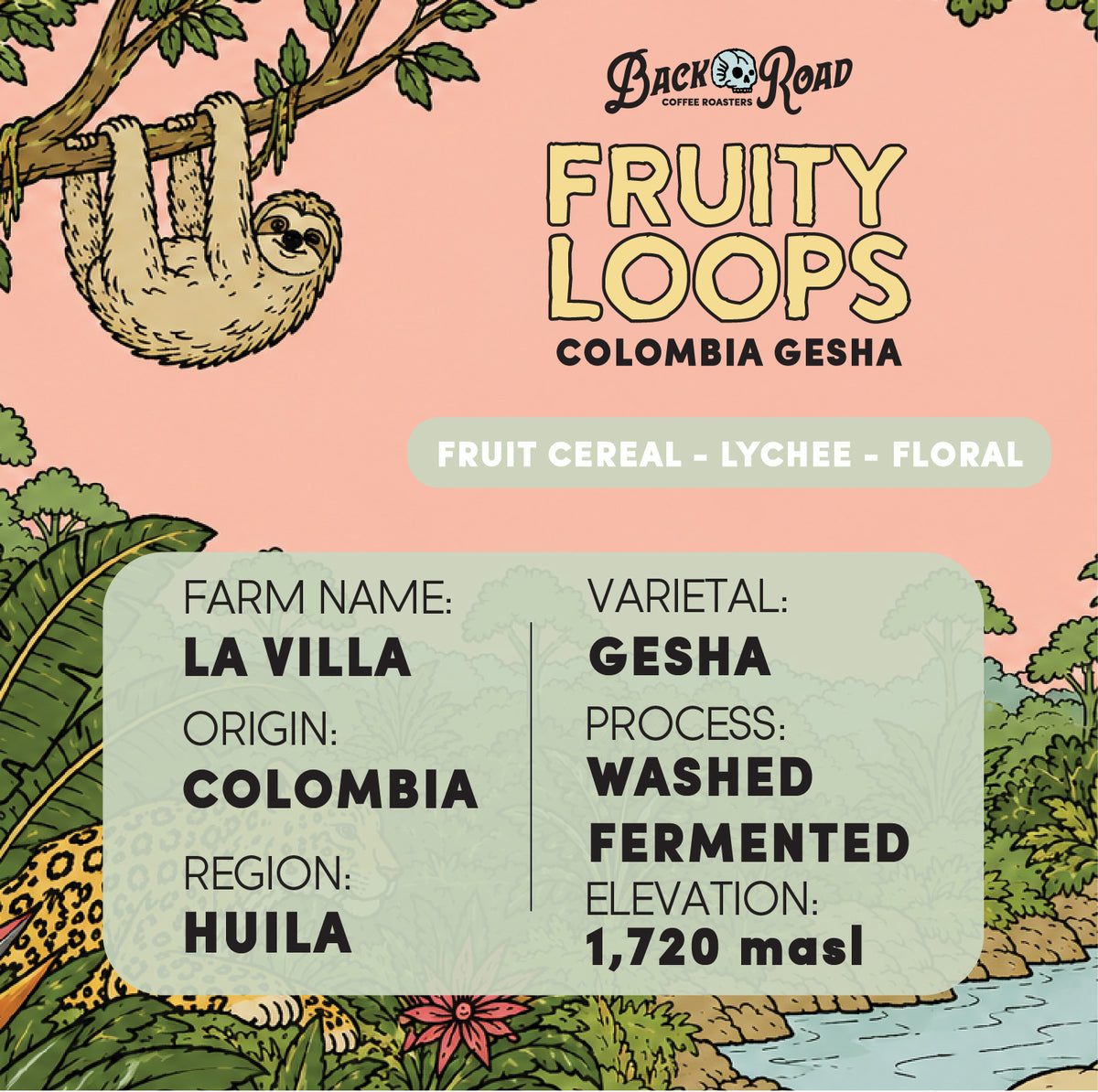 FRUITY LOOPS - Gesha (Colombia) 100g