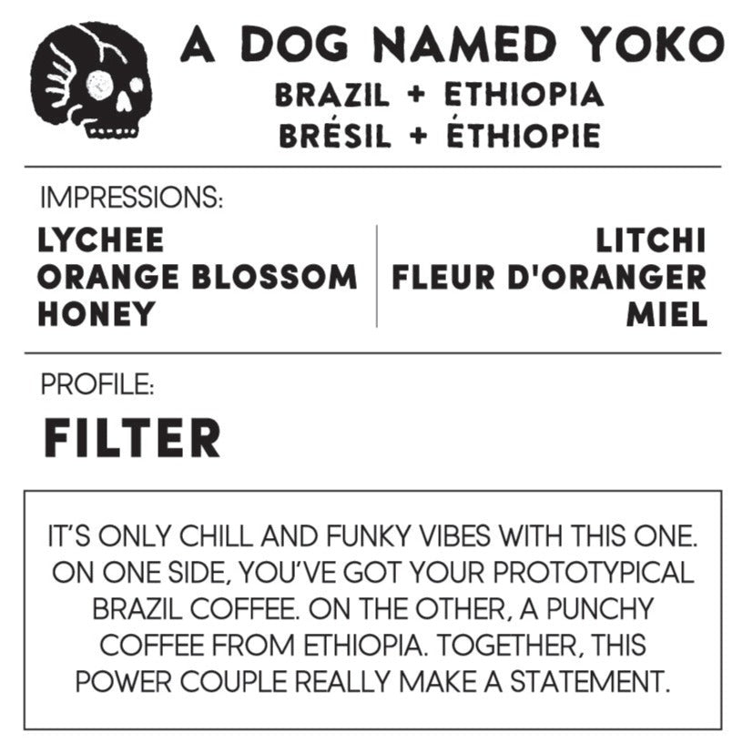 A DOG NAMED YOKO - Brazil/Ethiopia